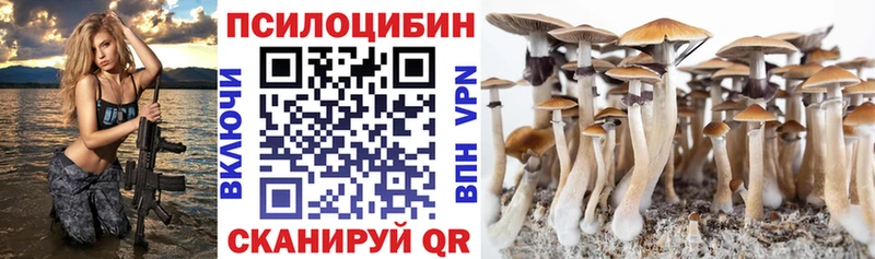 Псилоцибиновые грибы Magic Shrooms  hydra tor  Вихоревка  магазин продажи  