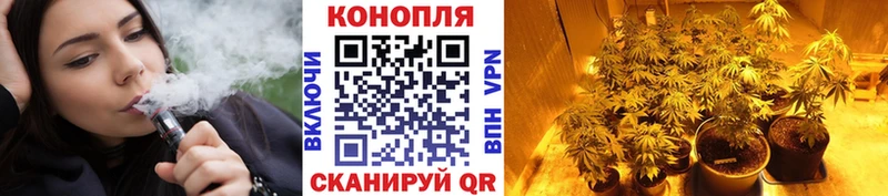 KRAKEN ССЫЛКА  Вихоревка  Канабис сатива 